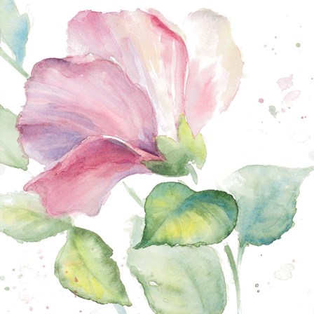 Fragrant Hibiscus I by Lanie Loreth art print
