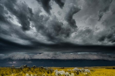 Lightening Strike On The Dakota Plains by Judith Zimmerman / DanitaDelimont art print