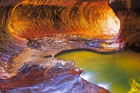 The Subway Along North Creek, Zion National Park, Utah by Russ Bishop / DanitaDelimont art print