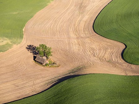 Lone Farmhouse Of The Palouse Region, Washington by Julie Eggers / Danita Delimont art print