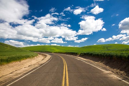 Backroad Through The Green Fields Of Washington by Terry Eggers / Danita Delimont art print