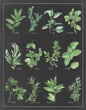 Herb Chart on Black White Border by Chris Paschke art print