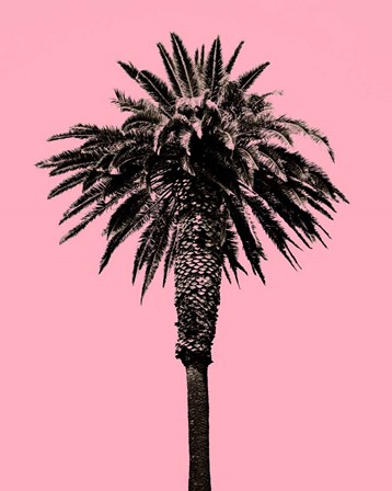 Palm Tree 1996 (Pink) by Erik Asla art print