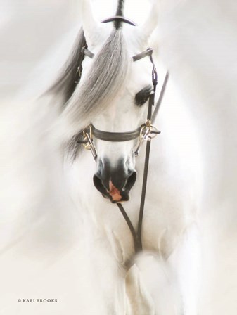 Dream Horse by Kari Brooks art print