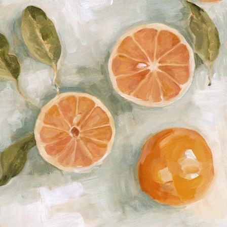 Fresh Citrus III by Emma Scarvey art print