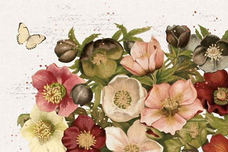 Vintage Petals I by Katie Pertiet art print