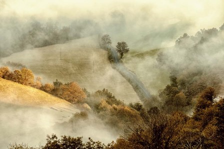 Awakening Fields by Lars Van De Goor art print