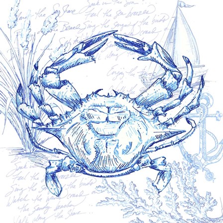 Coastal Sketchbook Crab by Tre Sorelle Studios art print