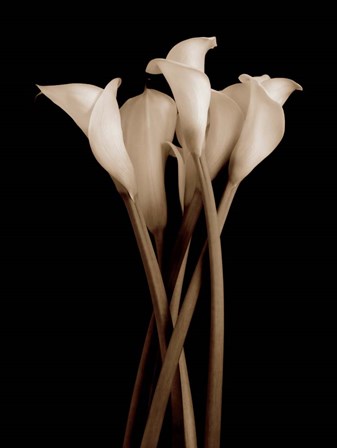 The Gathering by John Rehner art print