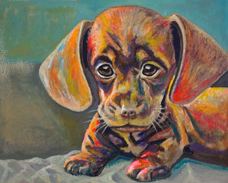 Puppy Face by Andy Beauchamp art print