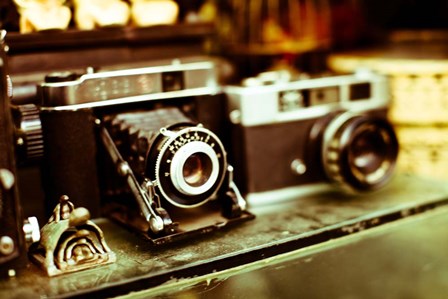 Vintage Cameras by Susan Bryant art print