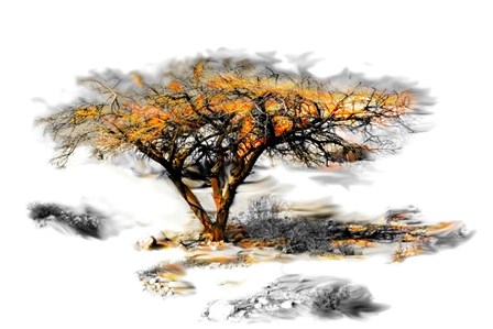 Trees Alive II by Ynon Mabat art print