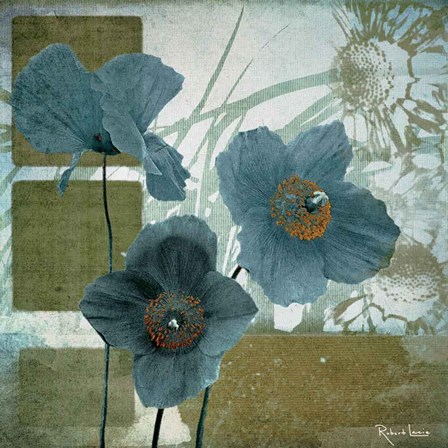 Cerulean Poppies I by Robert Lacie art print