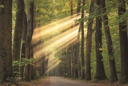 Rayzor Light by Martin Podt art print