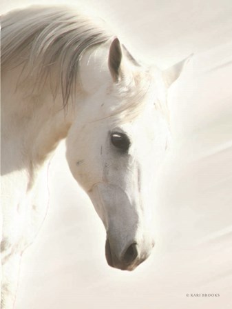 Pegasus I by Kari Brooks art print