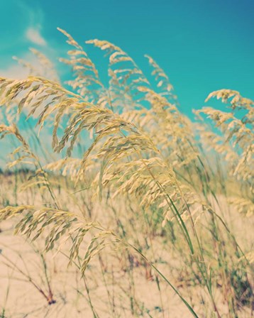 Sea Oats by Myan Soffia art print