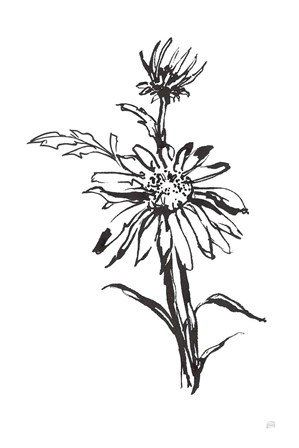 Line Echinacea I by Chris Paschke art print