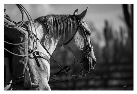 Gray Day by Barry Hart art print