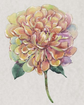 Multicolor Floral I by Timothy O&#39;Toole art print
