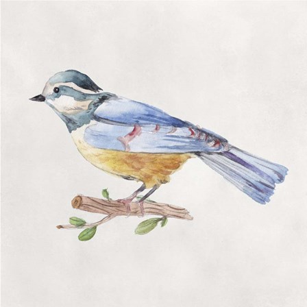 Bird Sketch V by Melissa Wang art print