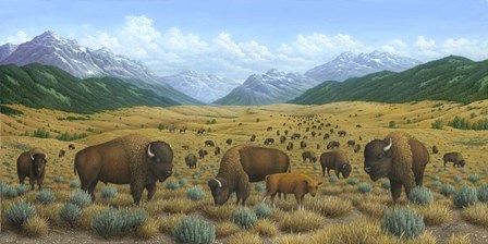 The Bison Trail by Robert Wavra art print