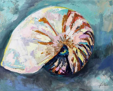 Nautilus Shell by Jeanette Vertentes art print