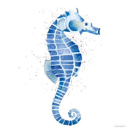 Seahorse by Mercedes Lopez Charro art print