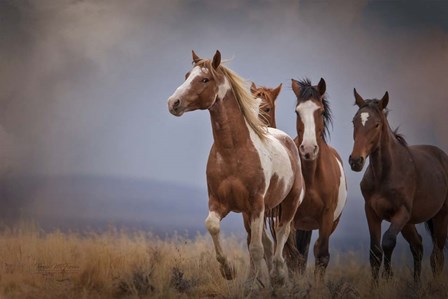 Wild Stallion by Larry McFerrin art print