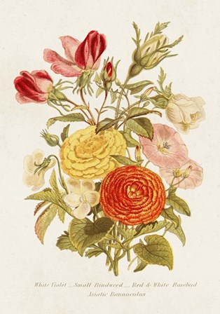 Antique Floral Bouquet I art print