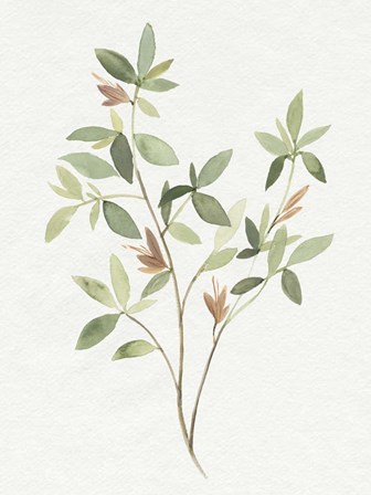 Single Sprig I by Annie Warren art print