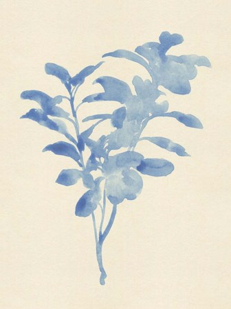Verditer Fig II by Jacob Green art print