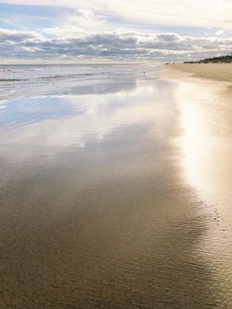 The Beach at Dusk by Anna Coppel art print