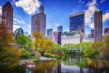 Central Park South from Gapstow Bridge by Rick Berk art print