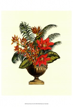 Exotic Flowers in Urn (P) I art print