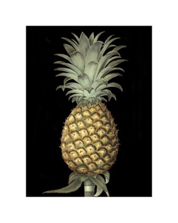 Brookshaw&#39;s Exotic Pineapple I by George Brookshaw art print