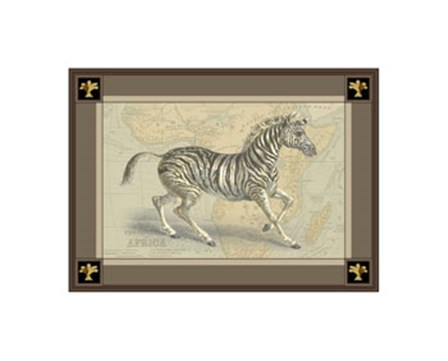 Zebra with Border II art print