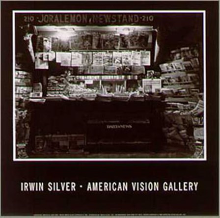 Brooklyn Newsstand by Irwin Silver art print