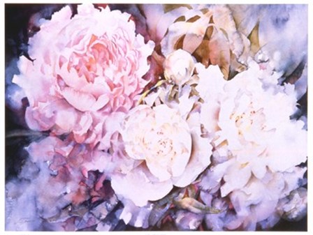 Peonies by David Maddern art print