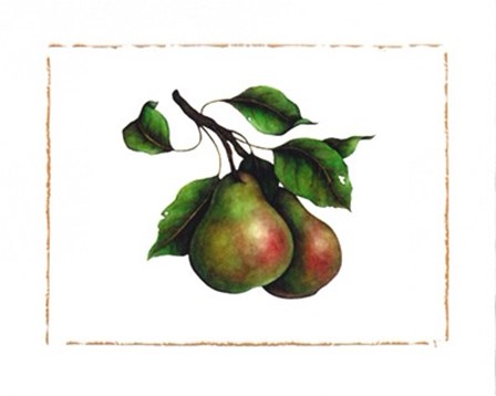 Comice Pear by Morgan Kari art print