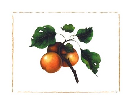 Goldmine Nectarine by Morgan Kari art print