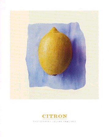 Citrone by Julyan Rawlings art print