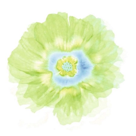 Fleur Verte by Robin art print