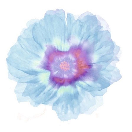 Fleur Bleue by Robin art print