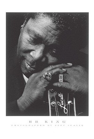 B.B.King by Jeff Sedlik art print