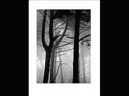 Forest by Nicholas Pavloff art print