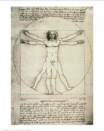 Human Proportions-Vitruvian Man by Leonardo Da Vinci art print