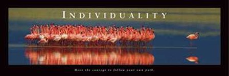 Individuality - Flamingos art print