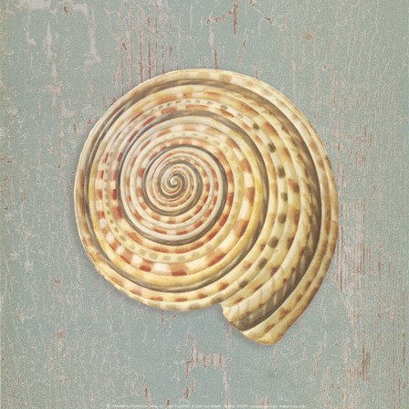 Sundial by Lisa Danielle art print