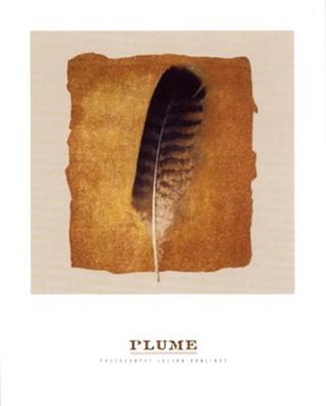 Plume by Julyan Rawlings art print