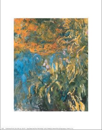 Iris, 1914-1917 by Claude Monet art print